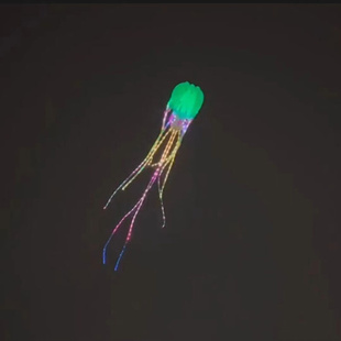 夜光软体风筝18米夜光，水母风筝领航风筝飘逸优美