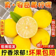 四川安岳黄柠檬(黄柠檬，)新鲜水果皮薄当季整箱香水，甜青柠檬小金桔特产