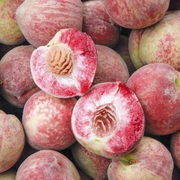 桃子5斤新鲜水果现摘现发红心血桃当季毛桃整箱脆桃应季水蜜桃子
