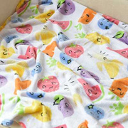 夏季薄毯单层法兰绒小毛毯幼儿园儿童午睡盖毯轻薄柔软空调毯子