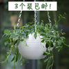 吊篮花盆绿箩盆壁挂式花盆塑料花盆加厚耐用吊兰花盆