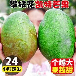 凯特芒果新鲜10斤水果攀枝花特产当季整箱特大青皮应季超甜D