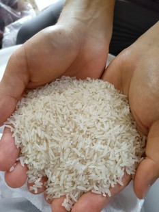 2023年新米晚稻现磨农家大米不抛光不打蜡10斤胚芽长粒香软糥