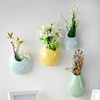 壁挂花瓶免打孔挂在墙上的绿萝水培，陶瓷花盆客厅墙壁创意养花装饰