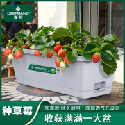 草莓盆栽专用盆阳台长条花盆种菜盆长方形种菜神器家庭蔬菜种植箱