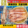 北海超大皮皮虾6-15头大虾特大鲜活蒸熟濑尿虾海虾爬爬虾水产