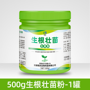 绿植生根家用营养液植物君子兰盆栽，花卉肥料防治花肥花花草种植