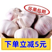 农家干大蒜头河南杞县特产2022年蒜头新鲜白紫皮低价干蒜5斤