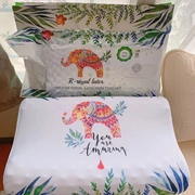 新天然大象乳胶枕头成人透气枕芯单人保健按摩护颈椎助眠枕头