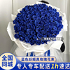 蓝色妖姬蓝玫瑰真花束礼盒，鲜花速递北京广州生日表白同城配送