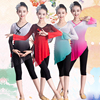 儿童古典舞练功服身韵纱衣女童中国舞考级形体民族少儿舞蹈演出服