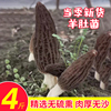 头茬野生新鲜的羊肚菌菌菇鲜货松茸特级散装竹荪云南特产空运