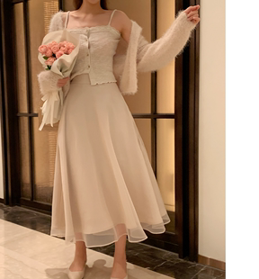 韩国长裙2023春季优雅浪漫仙女风，松紧腰网纱a字型半身裙