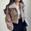 韩国chic秋冬法式减龄拉链翻领保暖毛绒绒(毛绒绒，)皮草外套女短款开衫外套