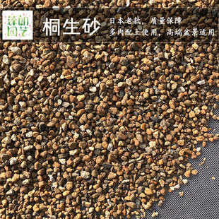 桐生砂 精筛日本进口硬质多肉花土铺面土多肉植物颗粒土