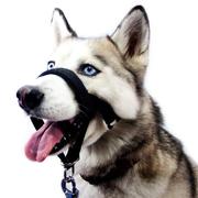 狗狗嘴套可调节防咬鼻毛面罩，宠物牵引套装，嘴套训练带源头工厂