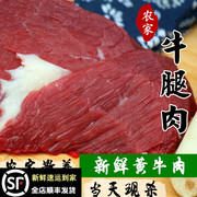 新鲜牛肉黄牛肉生牛肉农家放养现杀牛肉500g牛腿肉 牛腩 牛肋排肉