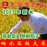 现磨现卖2023年新米5KG响水大米东北黑龙江正宗石板农家粳米