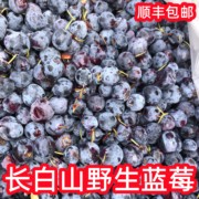 长白山野生蓝莓果新鲜冷冻蓝梅450克每瓶会破损出汁