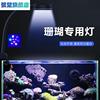 海水缸专用led小丑鱼软体珊瑚射灯海葵补光灯藻灯浅海新手鱼