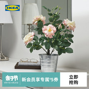 IKEA宜家FEJKA菲卡人造盆栽植物仿真花花束客厅摆设假花摆设