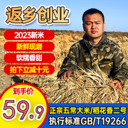 2023新米自产东北正宗五常大米稻花香米5kg执行标准GB/T19266