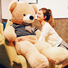超大号熊公仔(熊公仔，)泰迪熊玩偶熊猫布娃娃，女生抱抱熊毛绒玩具睡觉抱枕