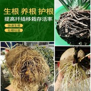 施可丰植物通用生根粉500g生根粉移栽生根快速植物通用发根液剂