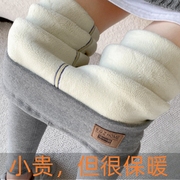 羊羔绒打底裤外穿女士冬季一体加绒加厚加肥加大码保暖裤东北棉裤