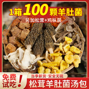 云南特产七彩菌汤包新货菌菇，汤料包羊肚菌，炖鸡煲汤松茸干货食材