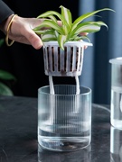 懒人花盆植物水培玻璃瓶子透明直筒家用简约圆柱花瓶绿萝水养器皿