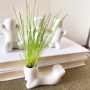 办公室桌面种草小盆栽diy创意，迷你陶瓷白瓷动作姿势小人长草娃娃