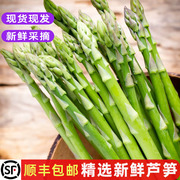 芦笋新鲜去白根龙须菜农家种植蔬菜西餐火锅食材沙拉配菜