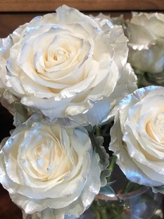厄瓜多尔白玫瑰银白玫瑰七夕情人节生日婚礼花束广州同城