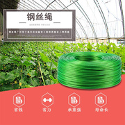 2024彩色包胶包塑绿皮钢丝绳，3-12mm防护网涂塑带胶皮钢丝葡萄