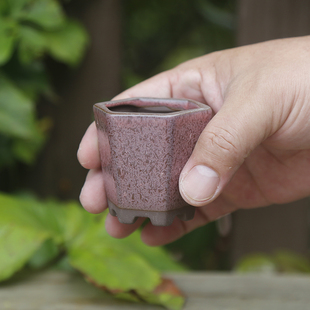 简约迷你控养型拇指盆紫砂陶多肉花盆陶瓷桌面绿植盆景素烧小