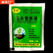 植物营养液通用型花卉绿植液体肥料水培叶面肥 富贵竹营养液