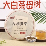 云南七子饼普洱茶生茶饼茶古树茶景谷秧塔大白茶古树茶大黄芽茶饼