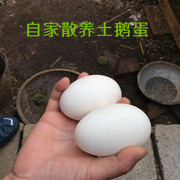 农家山地散养鹅蛋新鲜大蛋鹅生鲜禽蛋孕妇可食用鹅蛋6枚装