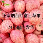 山东烟台栖霞红富士苹果5新鲜水果脆甜特产，当季现摘整箱10斤苹果