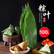 干粽叶包粽子的大粽子叶新鲜纯天然粽叶干粽子叶100张竹棕叶