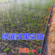滴灌带农用微喷带滴灌管，6分1寸1.5寸2寸喷灌带地喷水管灌溉水带