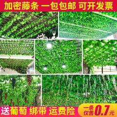 葡萄叶叶藤爬山虎装饰叶假树叶
