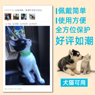 莎金氏除蚤圈宠物驱虫项圈，狗狗猫咪防跳蚤，圈虱子体外杀虫防蚊子