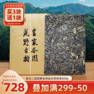 高马二溪正宗皇家茶园湖南安化黑茶金花，茯砖茶大叶荒山古树茯茶