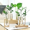 摆件办公室内花瓶绿萝木架创意容器花玻璃桌面水培装饰绿植花瓶&
