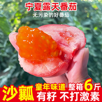宁夏露天沙瓤西红柿新鲜自然熟老品种，生吃水果番茄6斤非普罗旺斯