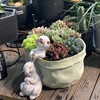 臻尚口袋小兔子花器多肉花盆萌可爱装饰桌面摆件创意花园阳台