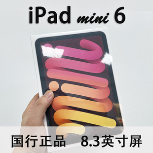 Apple/苹果 iPad mini (第六代) 无线局域网机型 ipad mini6国行