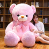 布娃娃女生抱抱熊1.6米泰迪熊，毛绒玩具大熊公仔，1.8粉色大熊猫狗熊
